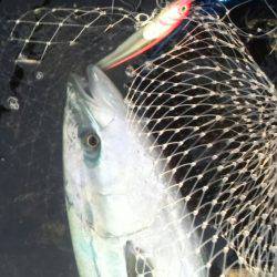 ご無沙汰でした